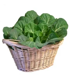 Collard greens in a basket