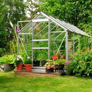 How to Set Up an Outdoor Tortoise Enclosure - All Turtles