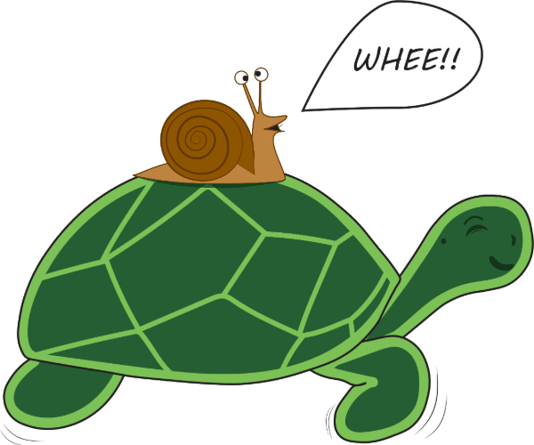 Turtle giving a snail a ride
