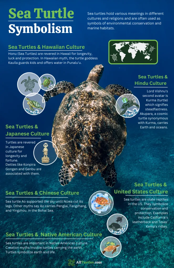 Infographic about Sea turtle symbolism