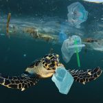 Sea Turtles And Pollution and Its Impact in 2025 - All Turtles