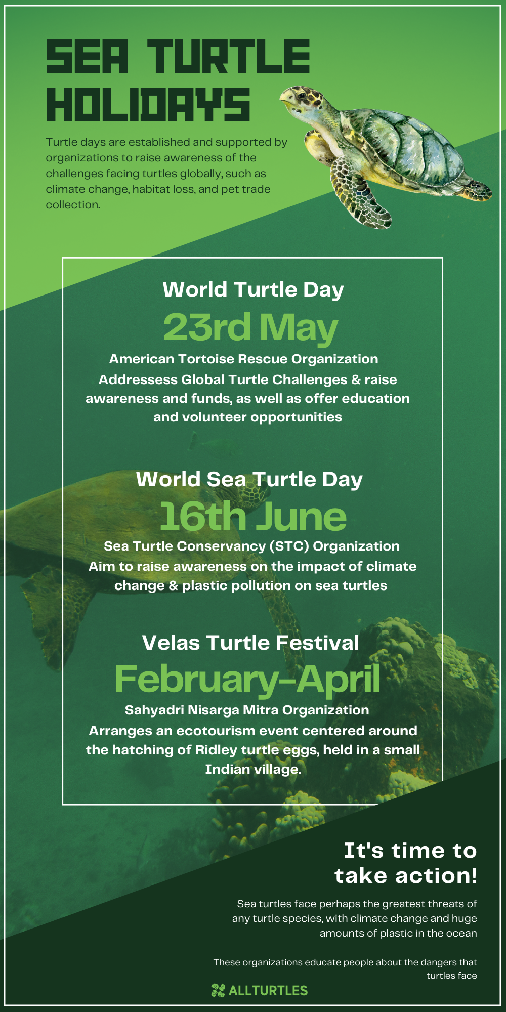 Top 3 Best Turtle Holidays - All Turtles